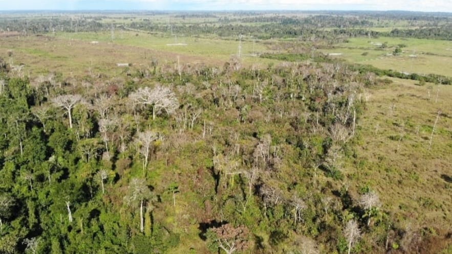 Fazendeiros são acusados de lançarem agrotóxicos com drones em área de floresta no Ramal do Granada, que está em disputa judicial